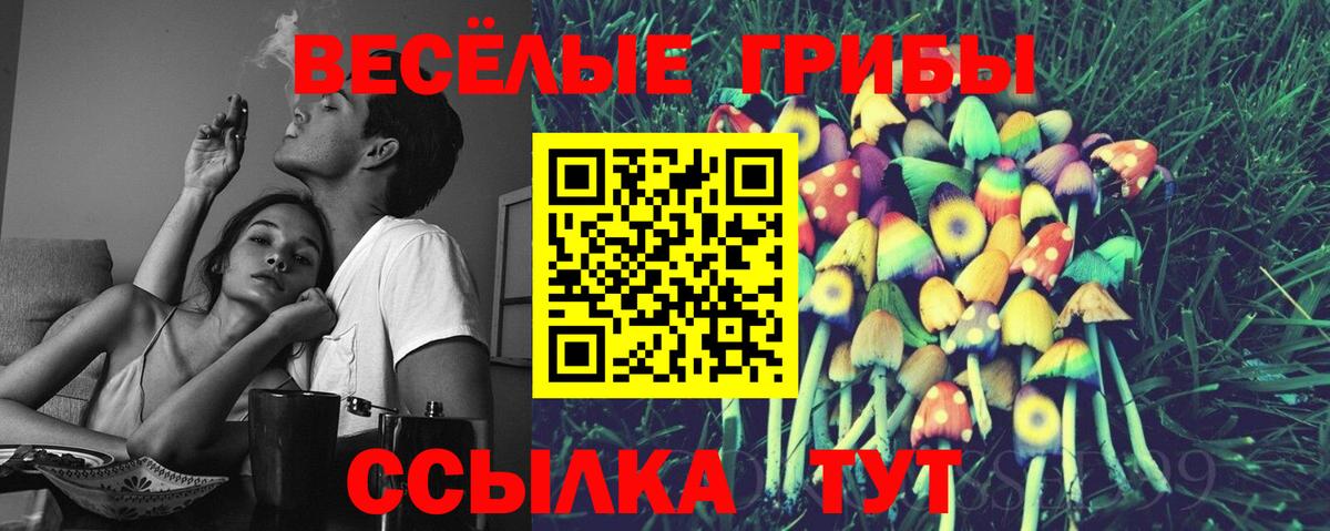Полысаево  Галлюциногенные грибы мухоморы  Псилоцибиновые грибы прущие грибы  Вход с VPN 