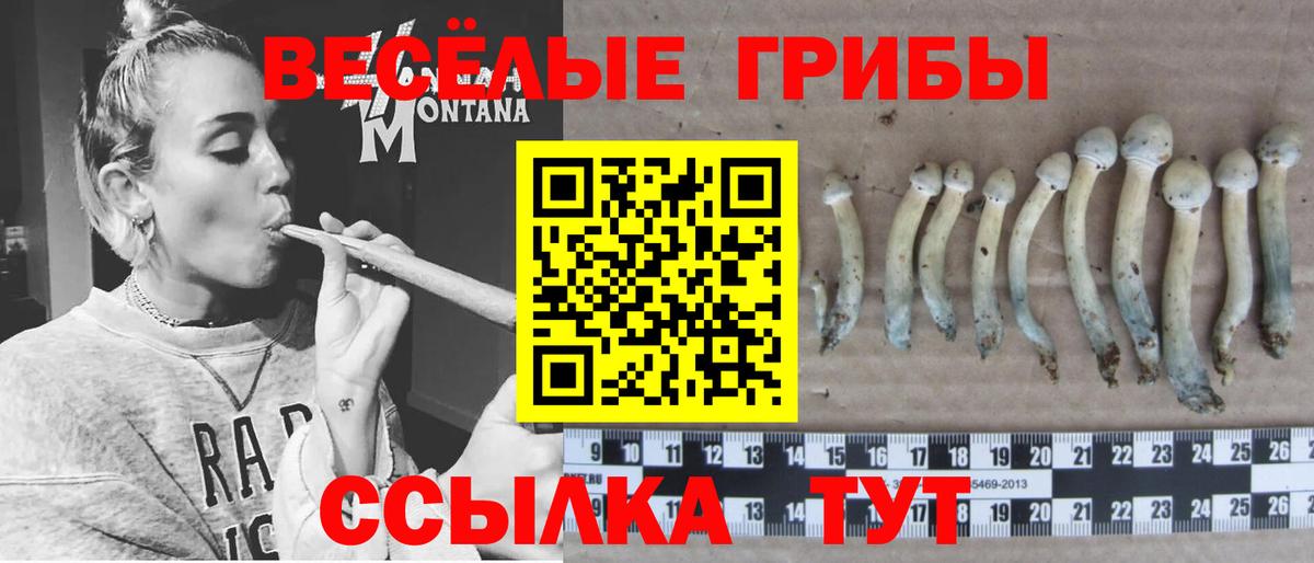 Галлюциногенные грибы мухоморы Полысаево